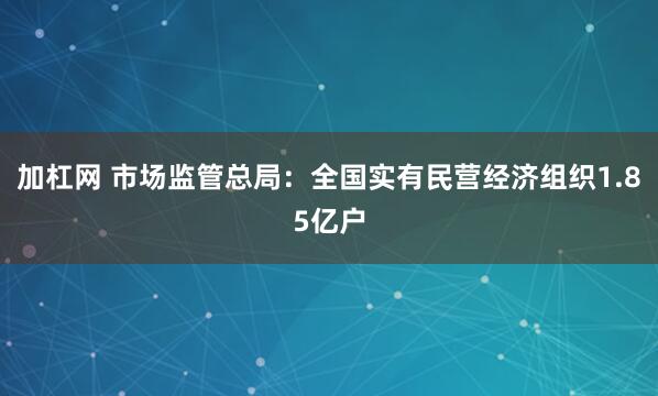 加杠网 市场监管总局:全国实有民营经济组织1.85亿户