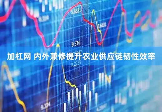 加杠网 内外兼修提升农业供应链韧性效率